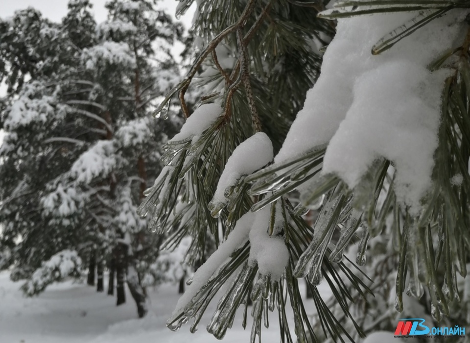 На Волгоградскую область идёт снег с дождём при +7º
